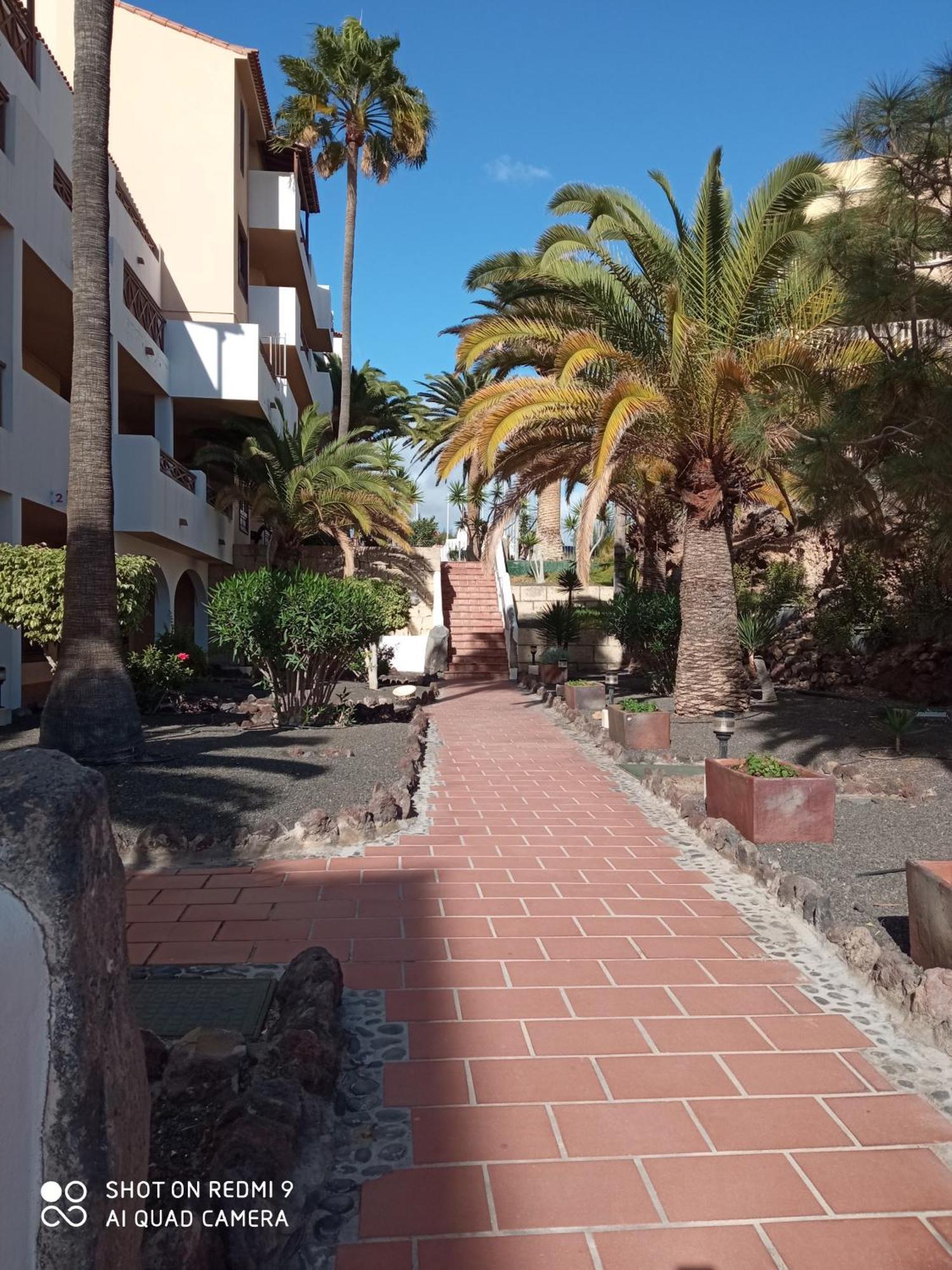 Las Meninas Tenerife San Miguel de Abona Phòng bức ảnh