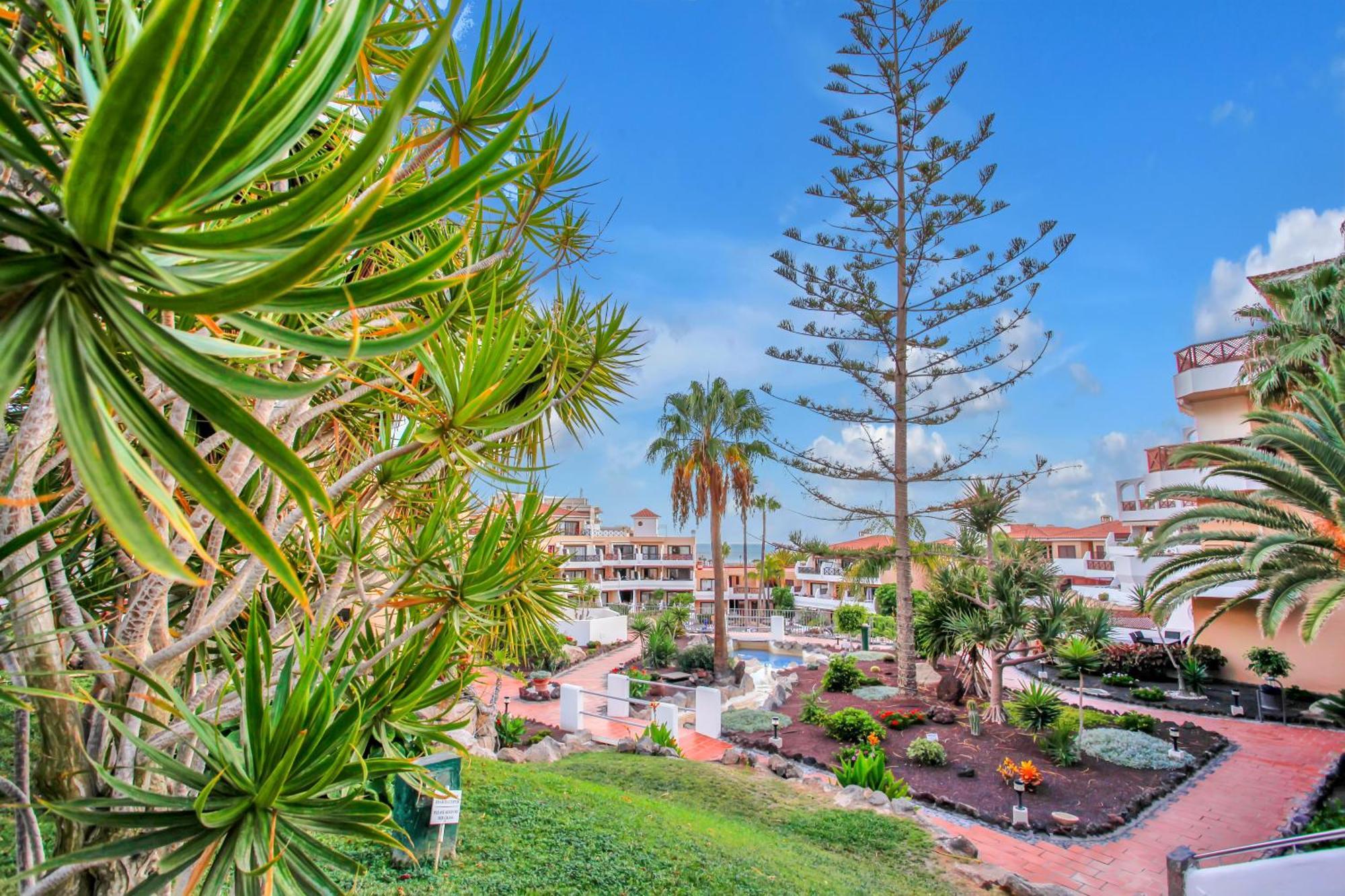 Las Meninas Tenerife San Miguel de Abona Ngoại thất bức ảnh